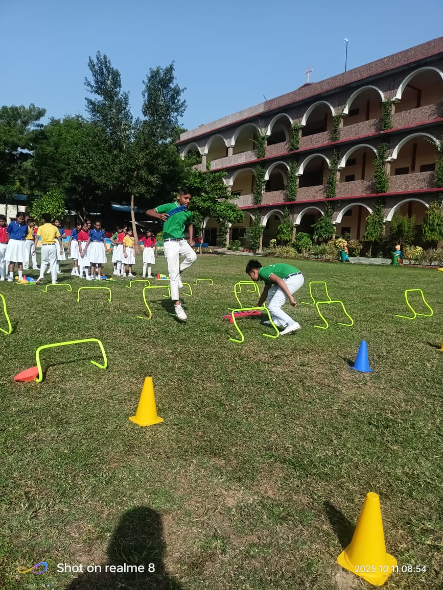 Motor Skills Setups